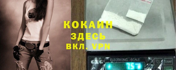 гидра Киселёвск
