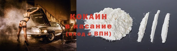 гидра Липки