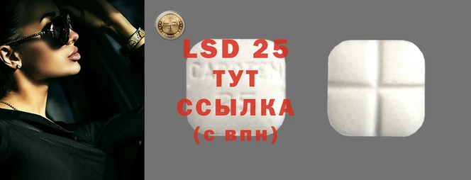 крисы Лагань