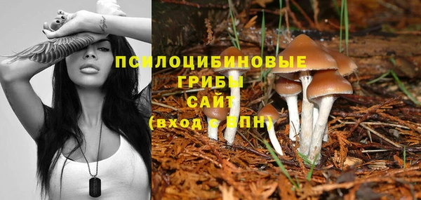 гидра Киселёвск