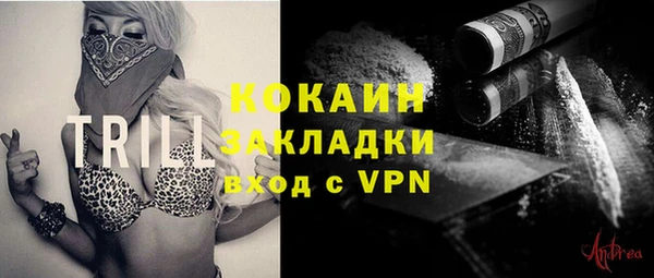 крисы Лагань